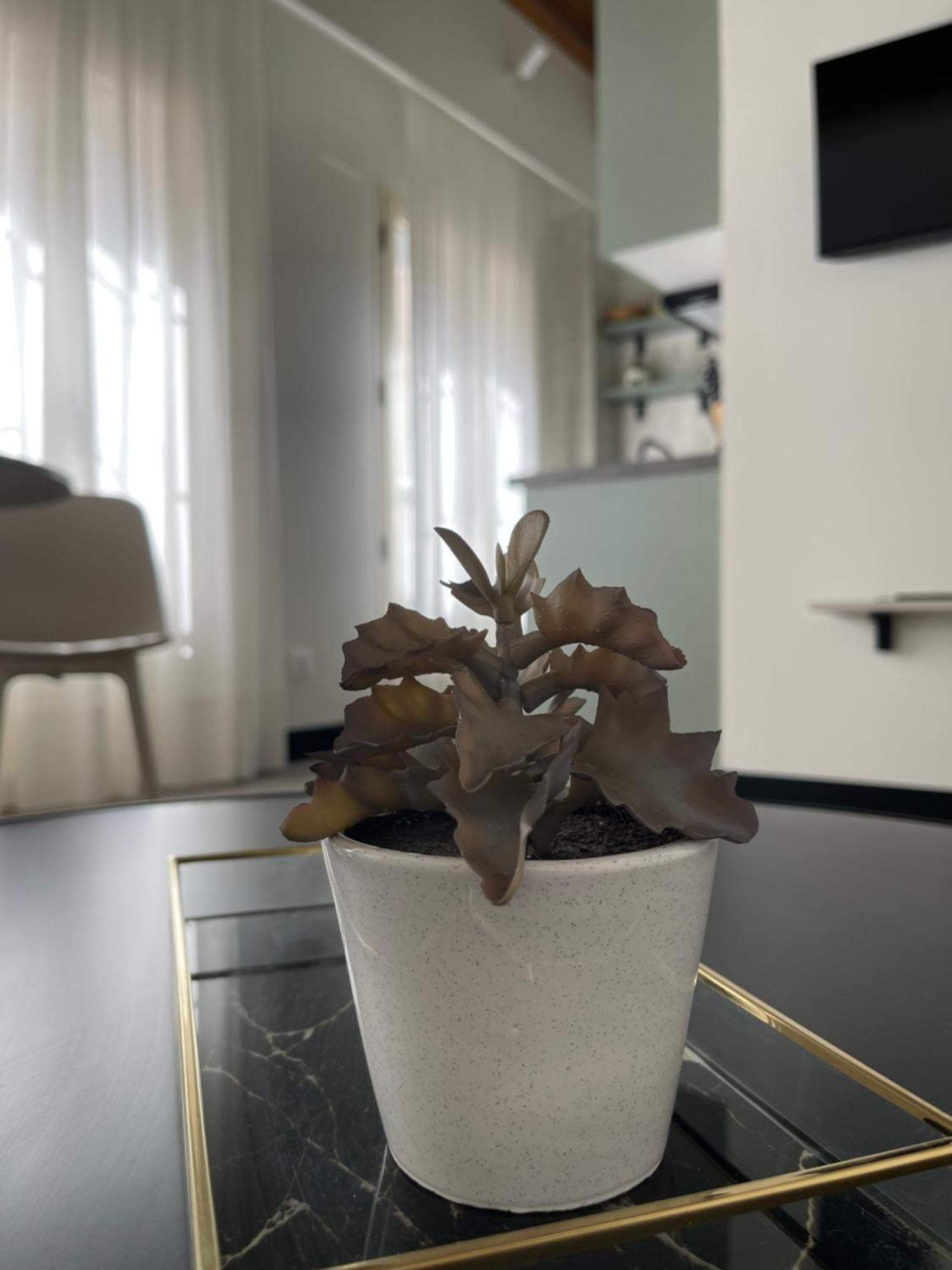Apartamento Picasso Centre 1e